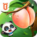 官方：广州龙狮与西班牙篮球俱乐部Lucentum Alicante达成合作